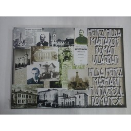 MAGHIARII IN UNIVERSUL ROMANESC - HILDA HENCZ - (editie romana-maghiara)